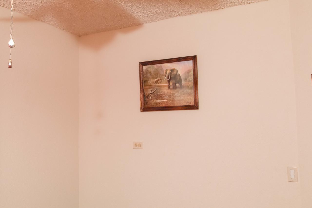 Frontline Apartments Christ Church Kültér fotó